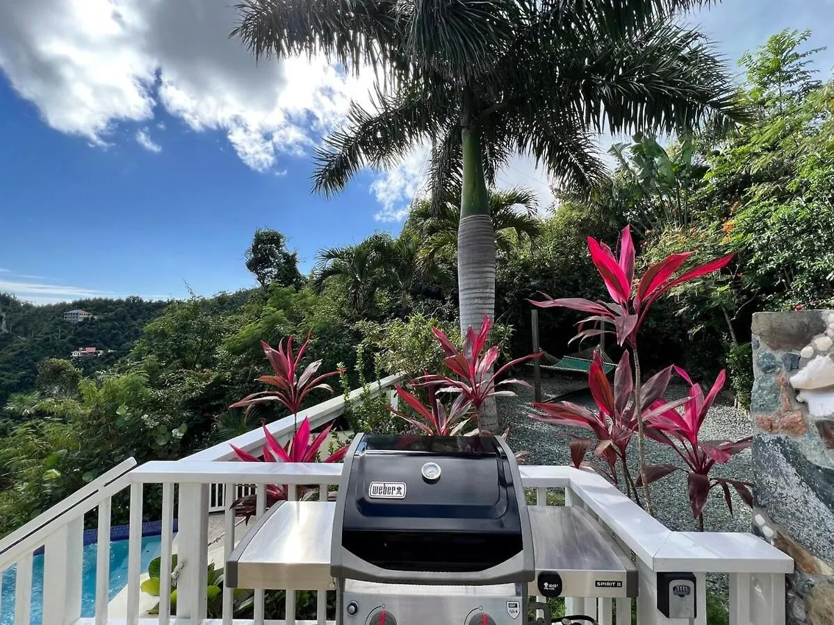 All About The View - Perfect Pool Villa Close To Maho Bay & VI Nat Park Saint John Island