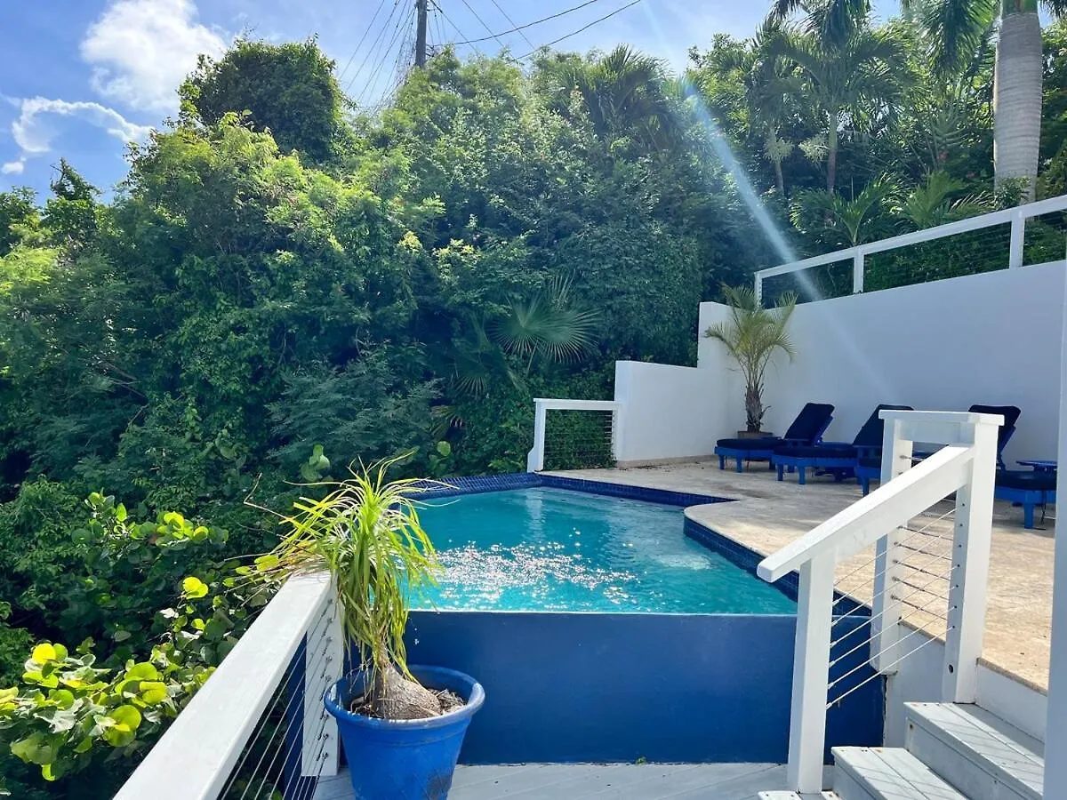 All About The View - Perfect Pool Villa Close To Maho Bay & VI Nat Park Saint John Island 0*,